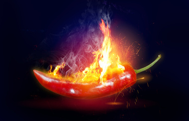 Eksplozivna ljuta čili papričica, ljuta i vatrena crvena čili papričica.