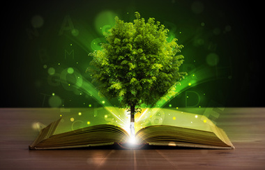 Otvorena knjiga s čarobnim zelenim drvetom i zrakama svjetlosti