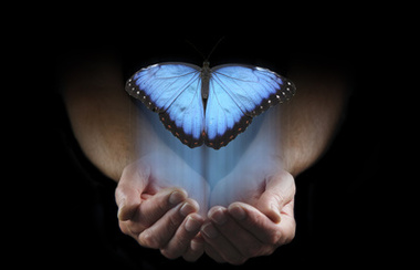 Postoje neke stvari koje ne možete zadržati - muške ruke sklopljene u čaše izranjaju iz crne pozadine s velikim plavim leptirom koji se uzdiže s prostorom za kopiranje iznad